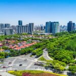 tren real estate 2025