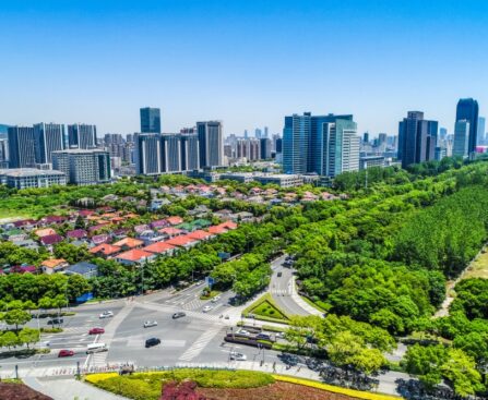 tren real estate 2025